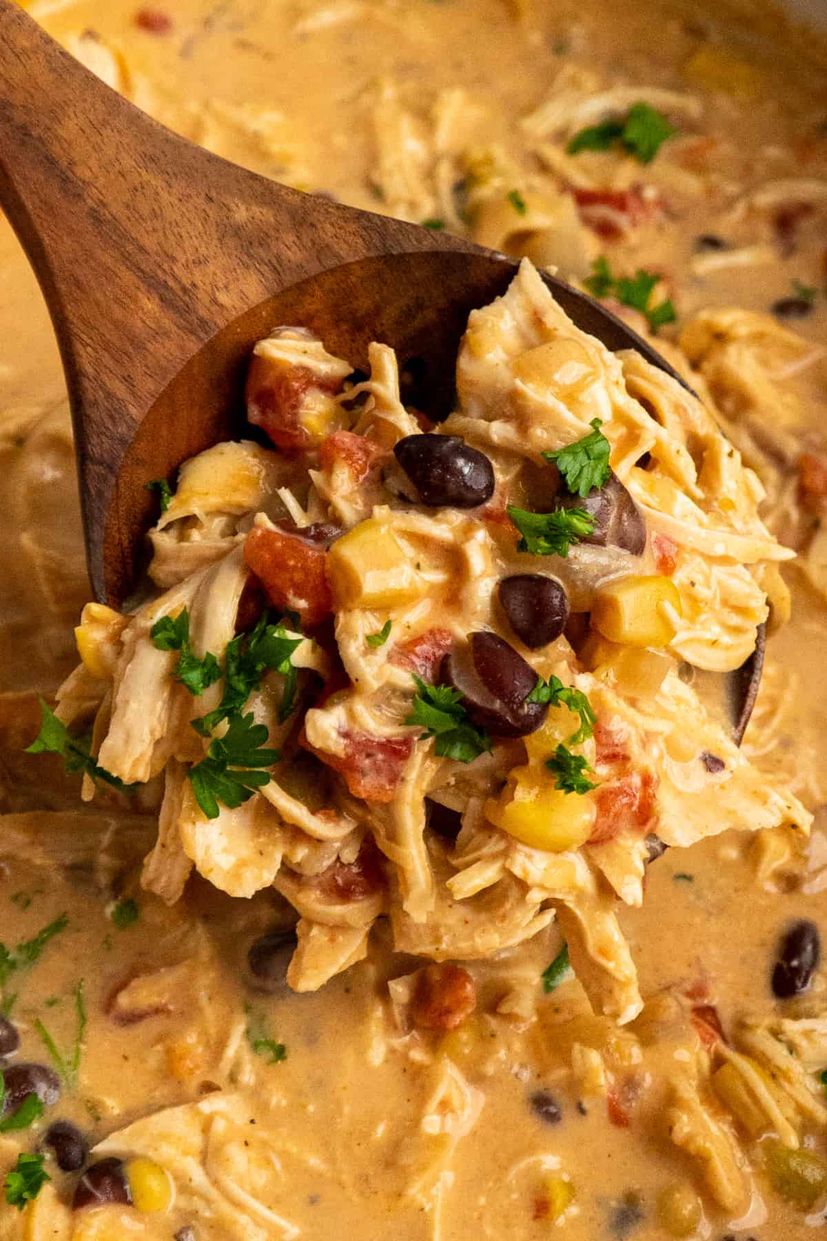 Crock Pot Fiesta Chicken with Creamy Ranch and Zesty Green Chilies