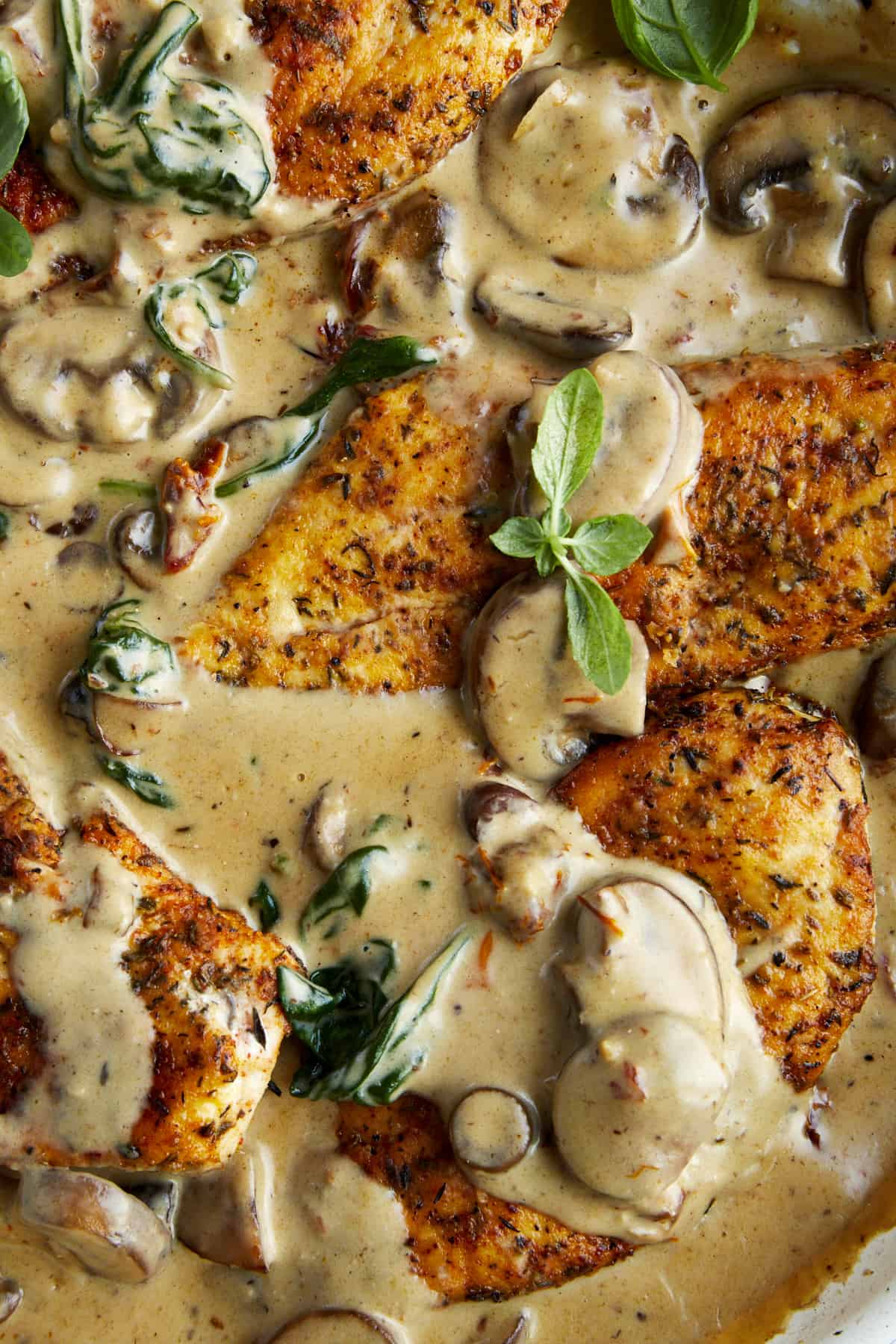 Creamy Mushroom Chicken with Sun-Dried Tomatoes and Parmesan